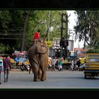 Indien - Straße für alle