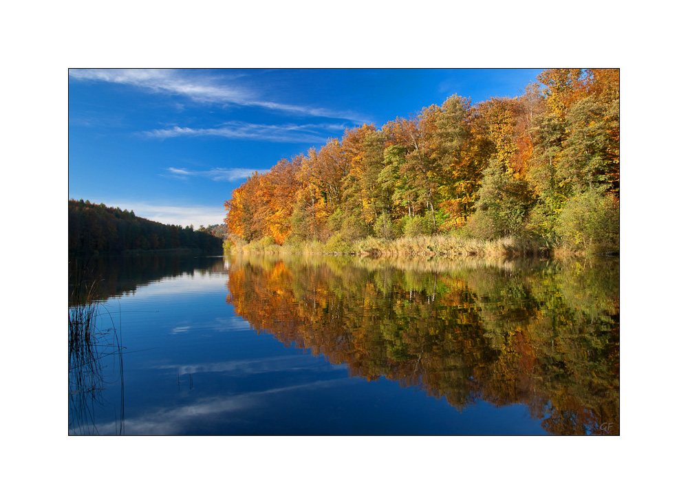 indien summer am neuweiher