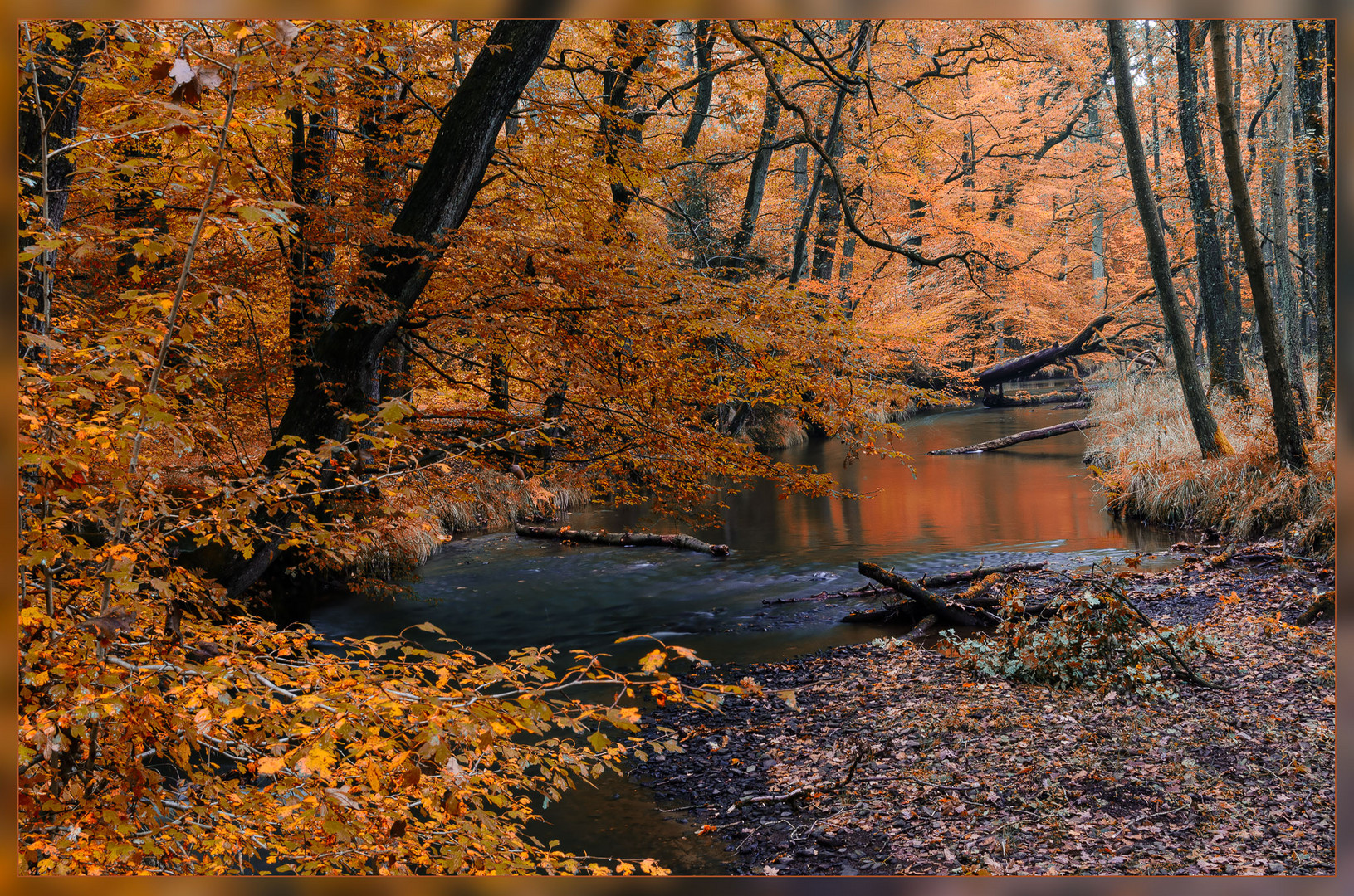 Indien Summer - Heve im Arnsberger Wald 1