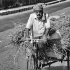 Indien - Transport