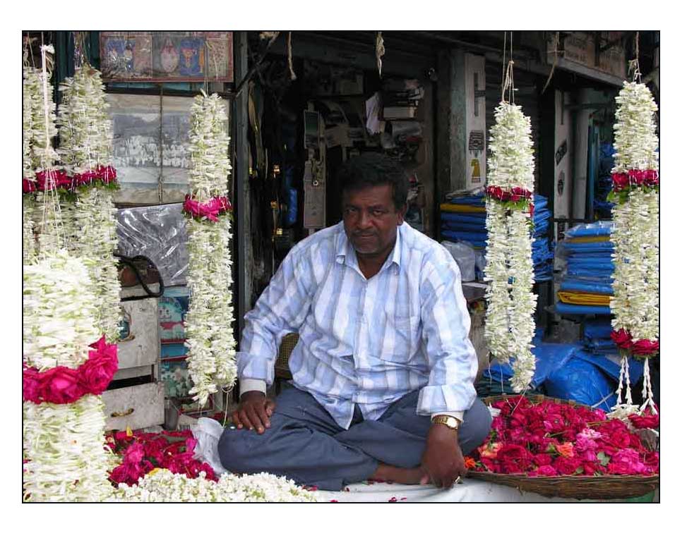 Indien: Verkäufer von Blumen womit unter anderem die Haare geschmückt werden