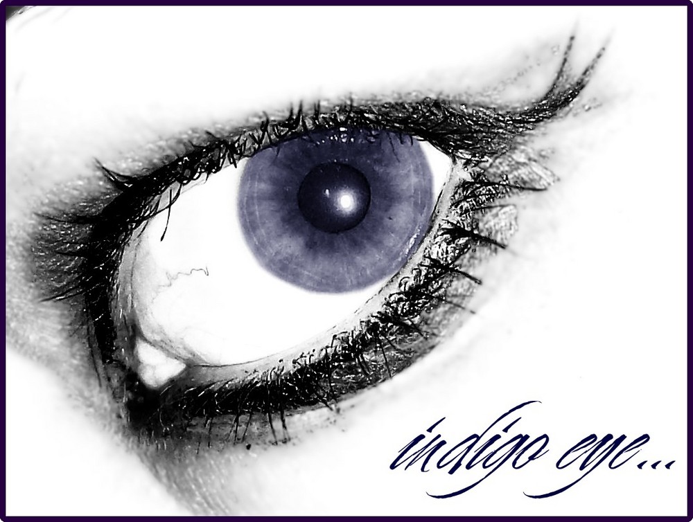 indigo eye ...