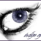 indigo eye ...