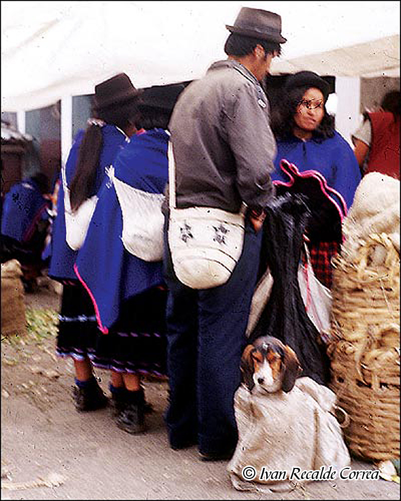 INDIOS DE COLOMBIA