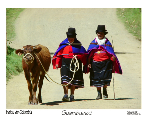 Indios de Colombia. Indios Guambianos