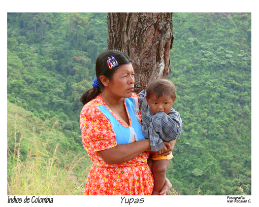 Indios de Colombia. Indios yuko