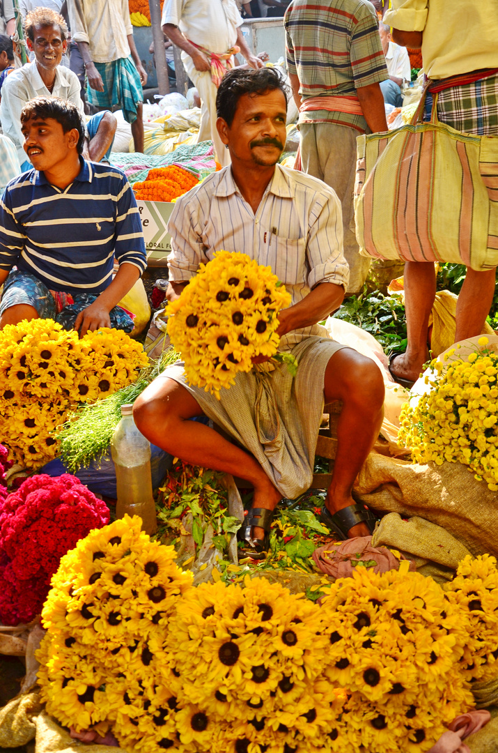 indische Sonnenblumen