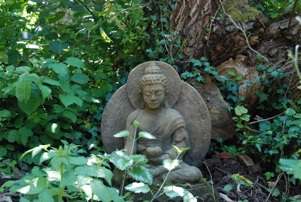 Indischer Budha