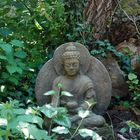 Indischer Budha