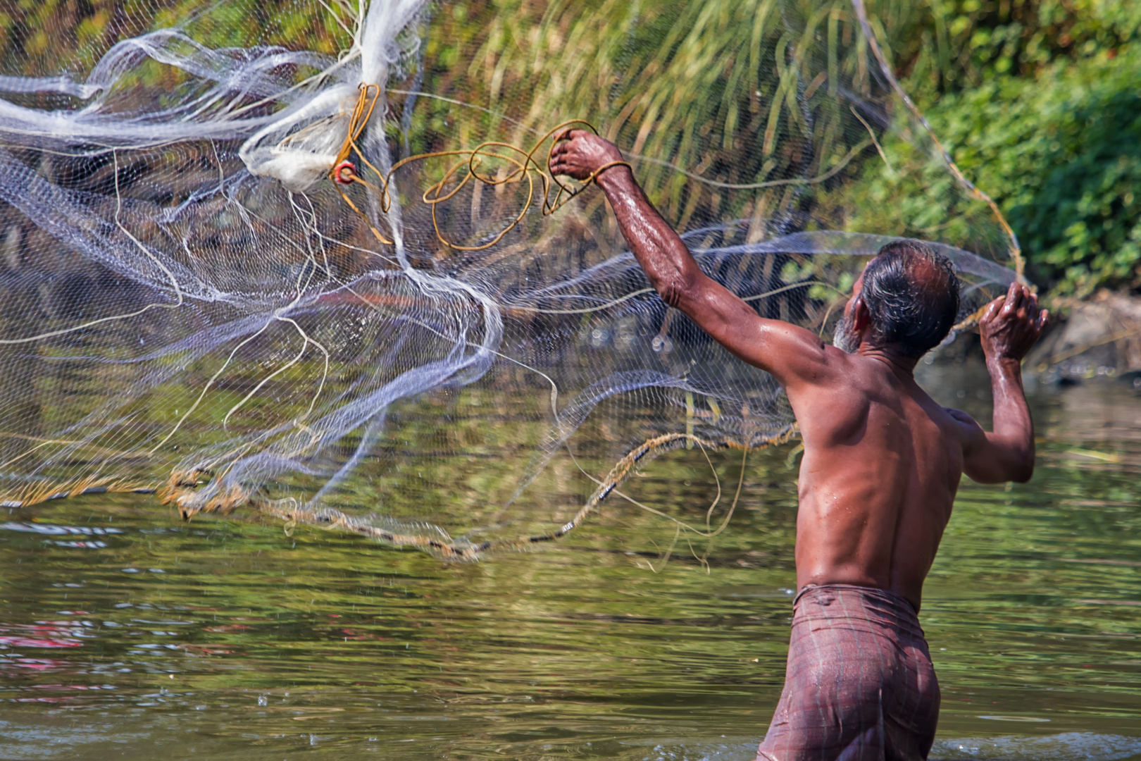 Indischer Fischer