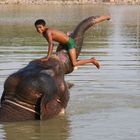 Indischer Junge mit Elefant beim Baden