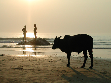 Indisches Strandleben