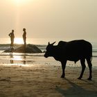 Indisches Strandleben