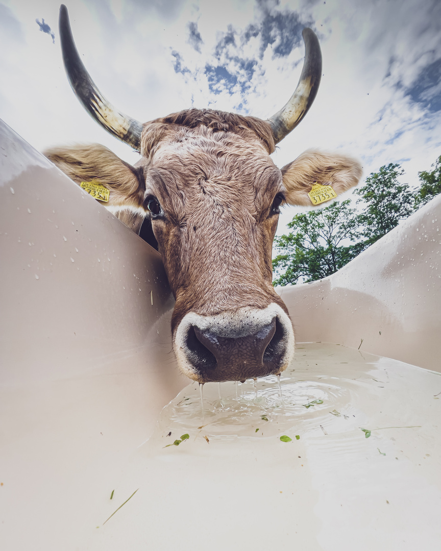 Indiskreter Blick in meine Badewanne