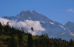 Individualist vor der Dreitorspitze...