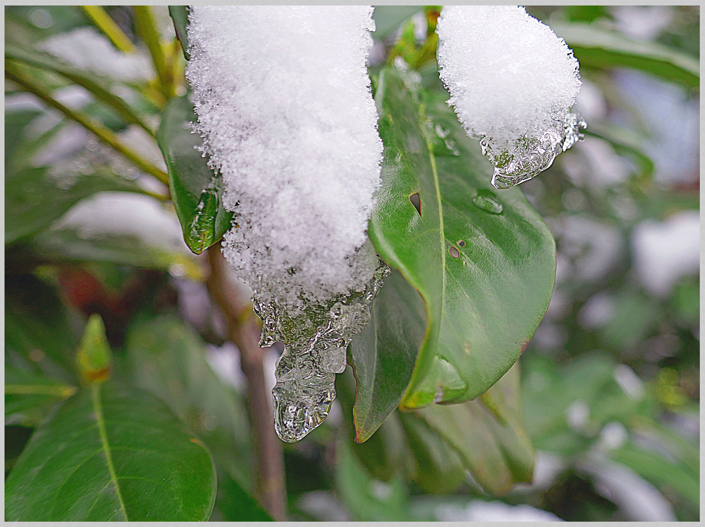 Individuelle Eisgebilde