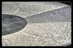 " Individuum "