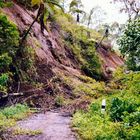 Indonesia, Flores "Earthquake"