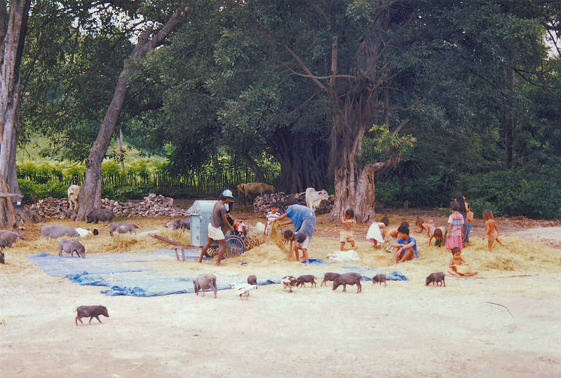 Indonesia, Sumbawa "Meeting point"