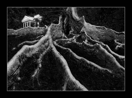 Indonesia/Java/Bogor/ 2