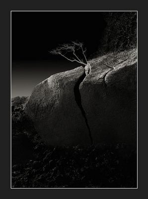 Indonesia/Java/Pangandaran N.P. 1