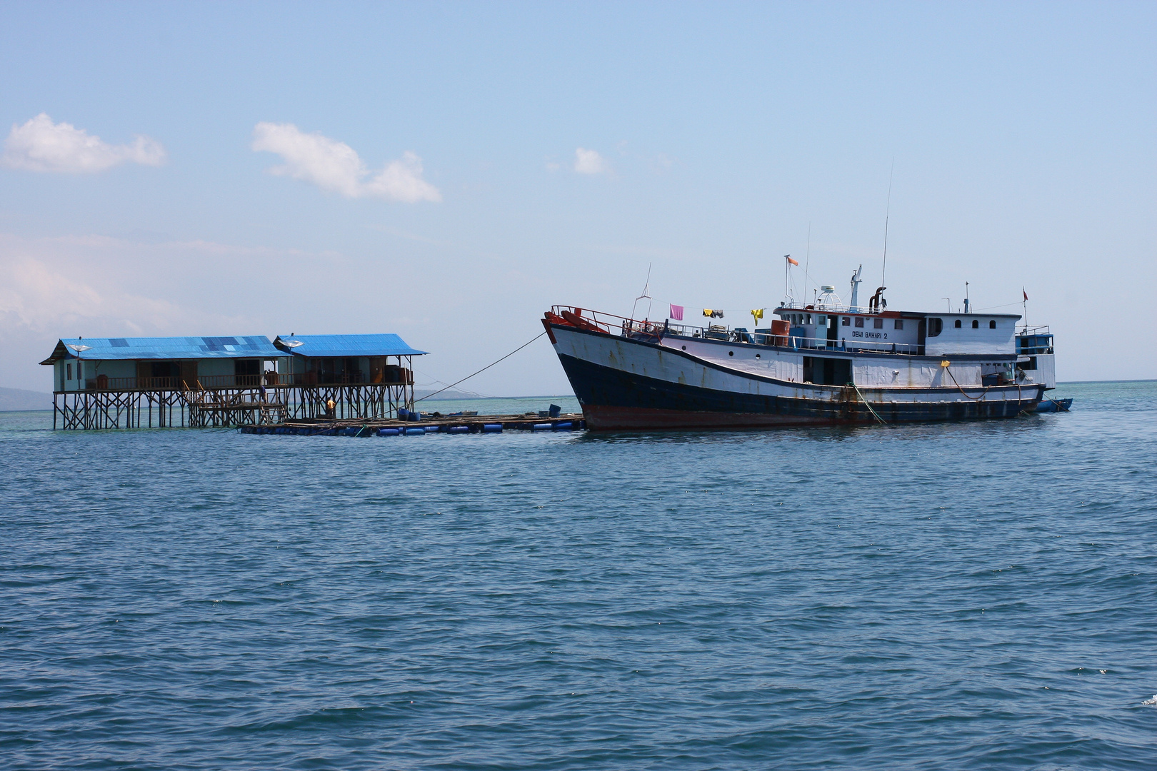 Indonesian Barramundi production