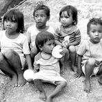 Indonesian - Kids II