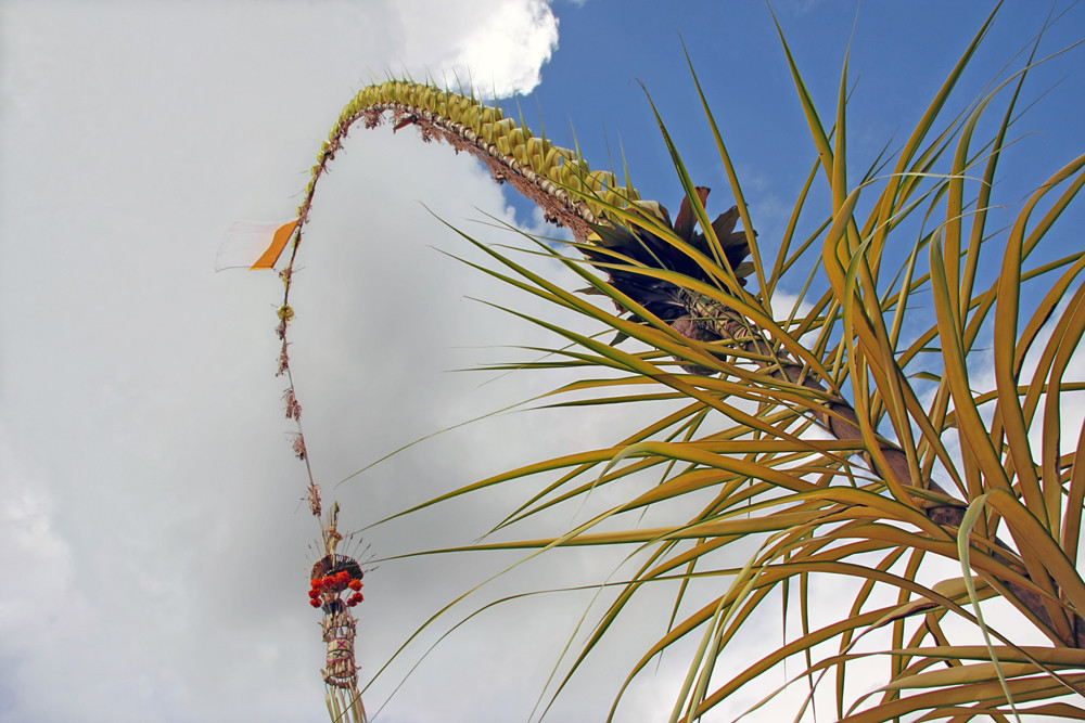 Indonesian Maypole