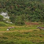 Indonesien [12] - Leben mit dem Vulkan