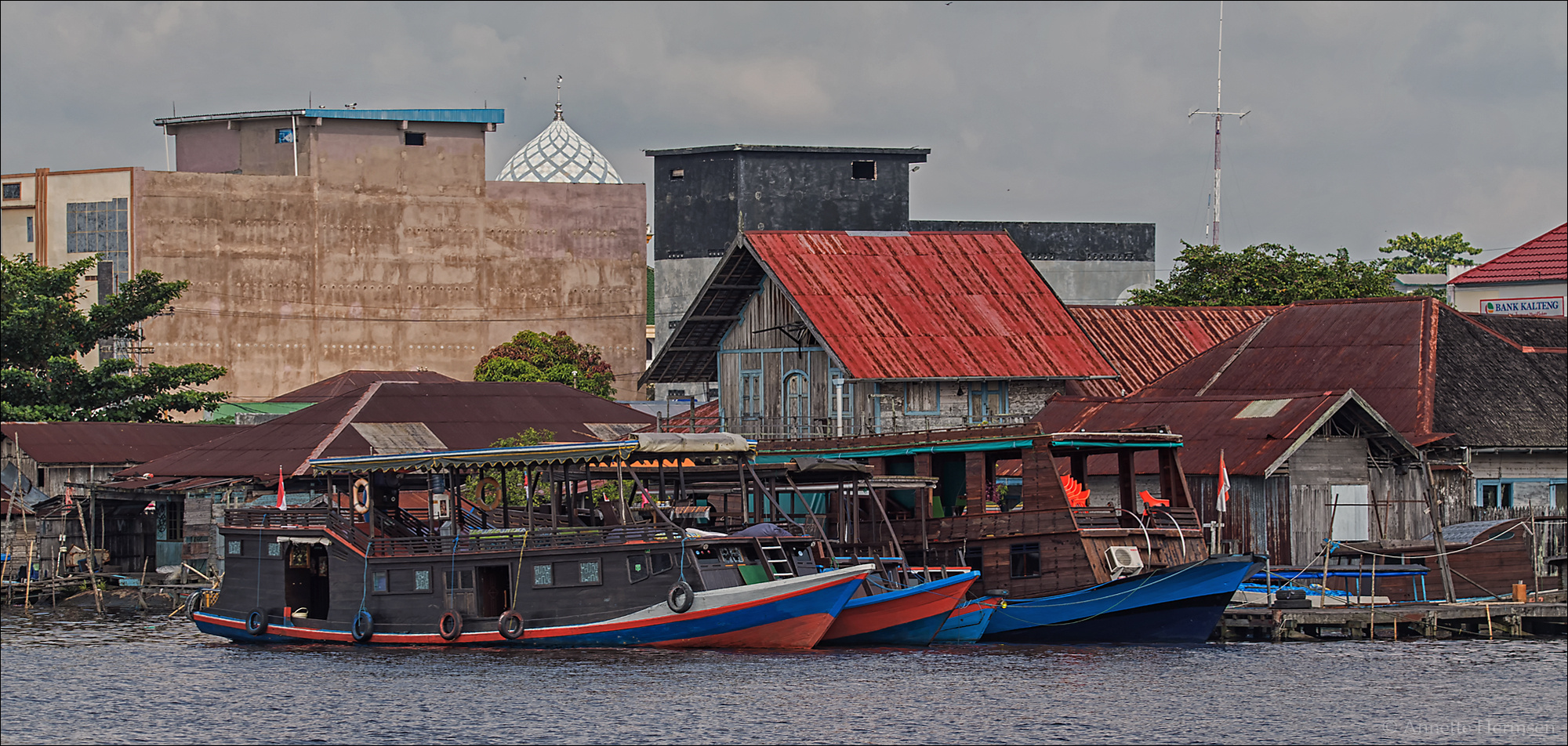 Indonesien [17] - Vogelnester