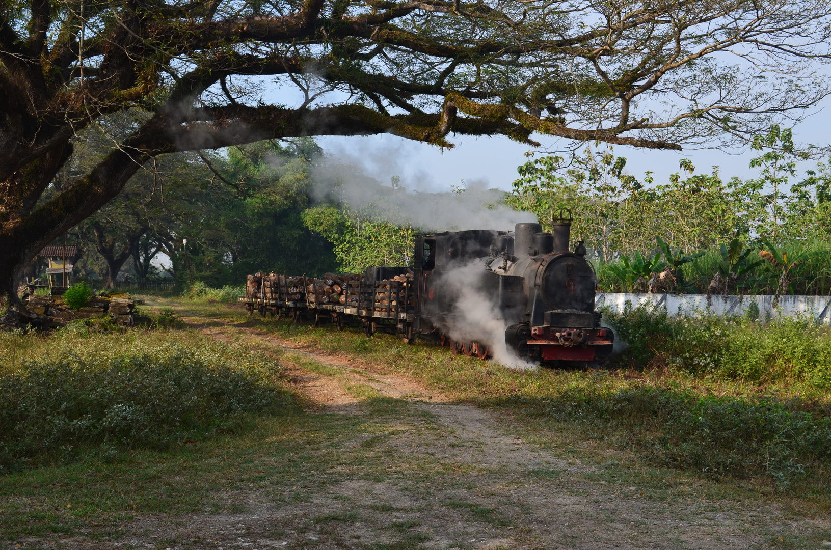 Indonesien 2014 Waldbahnvon Cepu Kapspur 1067 mm