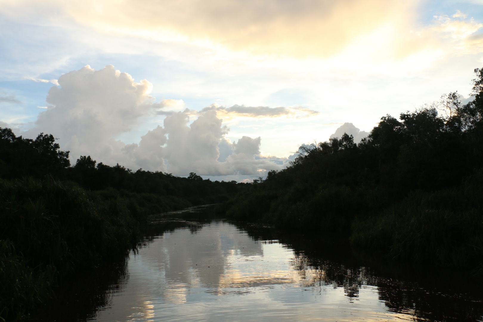 Indonesien 2016 - Tanjung Puting Nationalpark