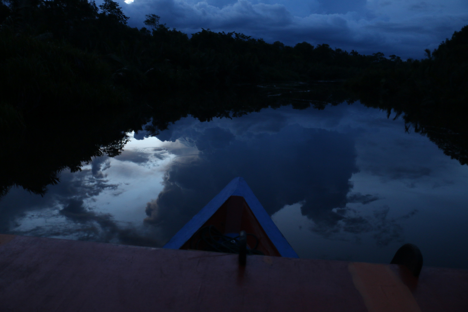 Indonesien 2016 - Tanjung Puting Nationalpark