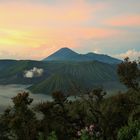 Indonesien Bromo