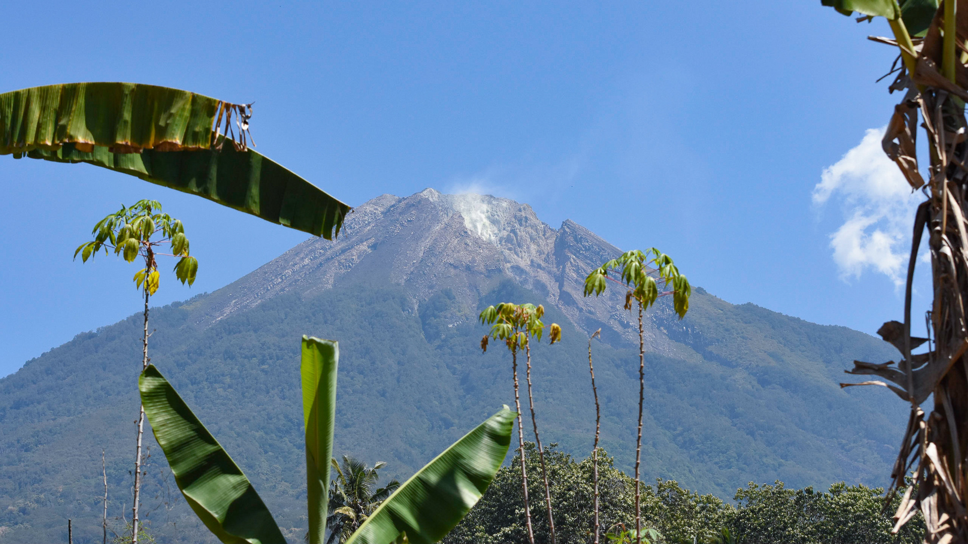 Indonesien Flores