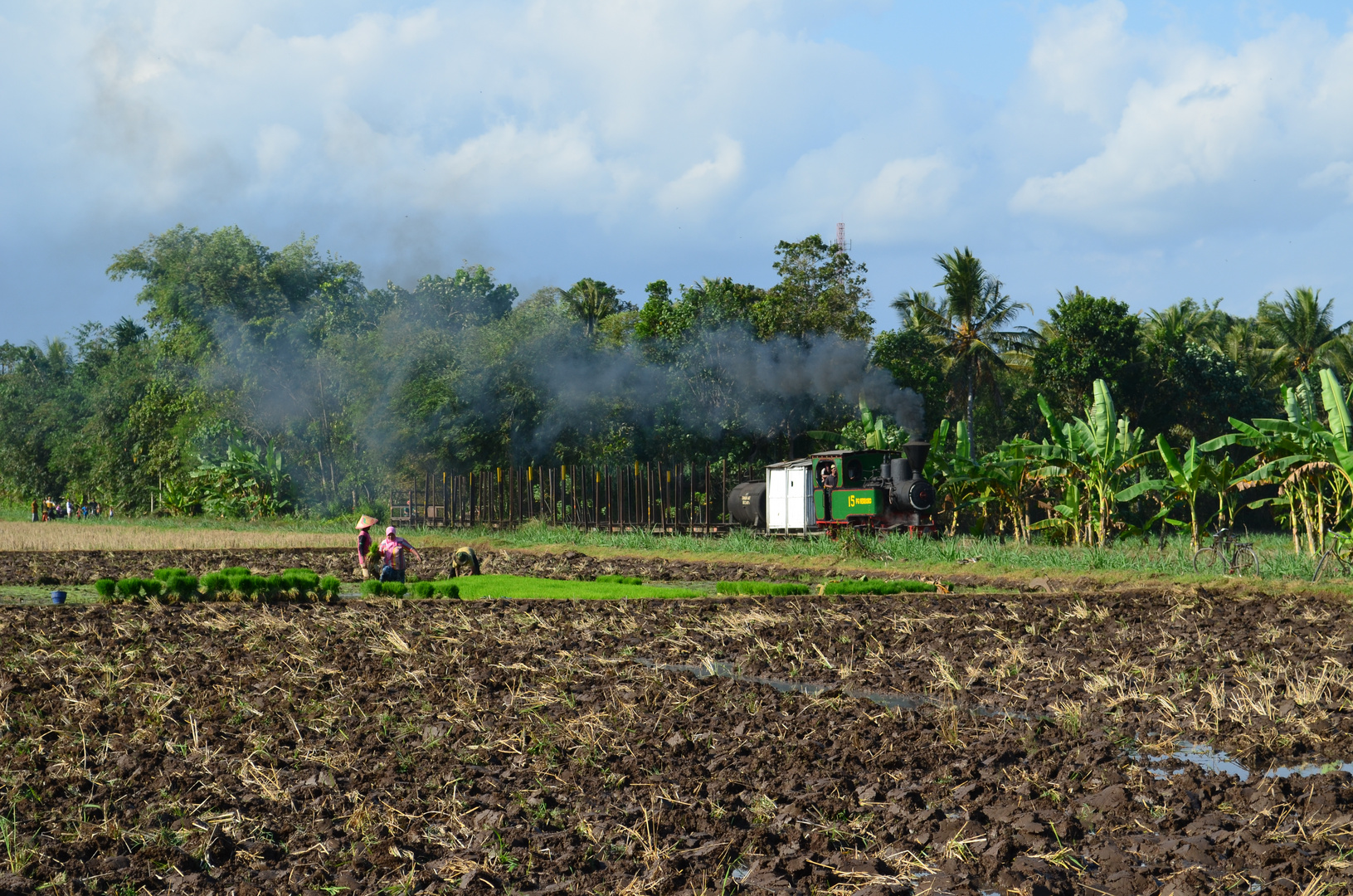 Indonesien I zuckerdampf 2014