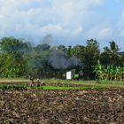 Indonesien I zuckerdampf juli 2014