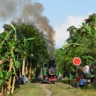 Indonesien: Rundfahrt auf dem Feldbahnnetz derZuckerfabrik Semboro mit Lok Nr. 16 