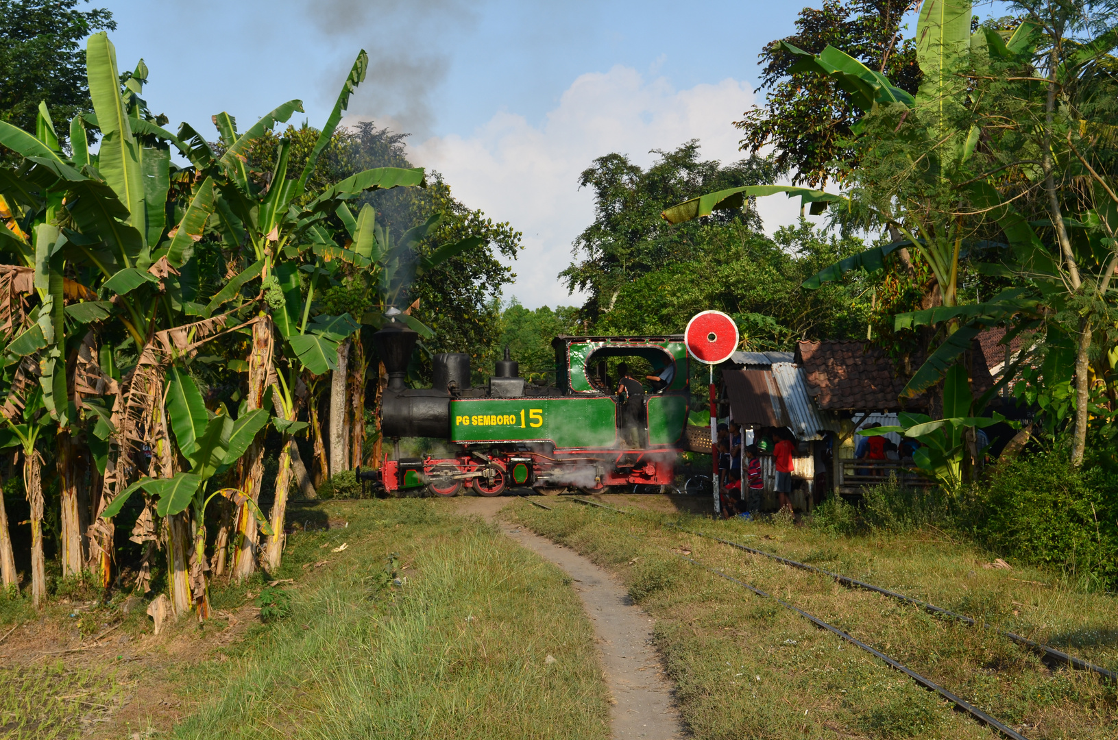 Indonesien -  Rundfahrt mit Malletlok in Semboro/JavaII 714