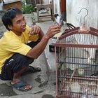 Indonesischer Vogelbesitzer