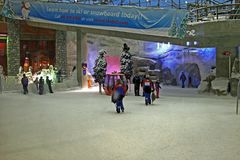 Indoor Ski