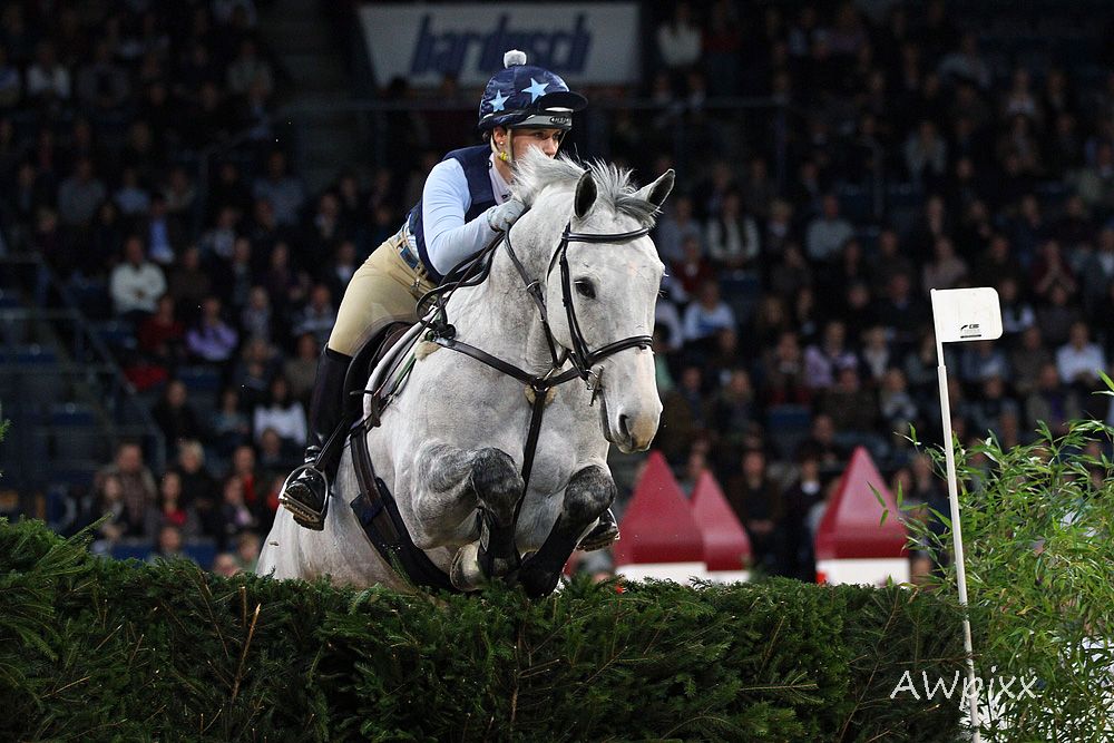 Indoor Vielseitigkeit German Masters....