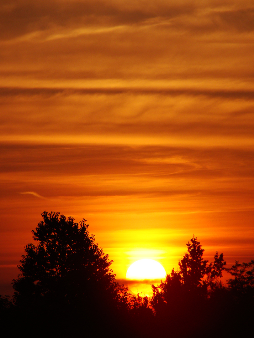 Indovinello.....alba o tramonto..???