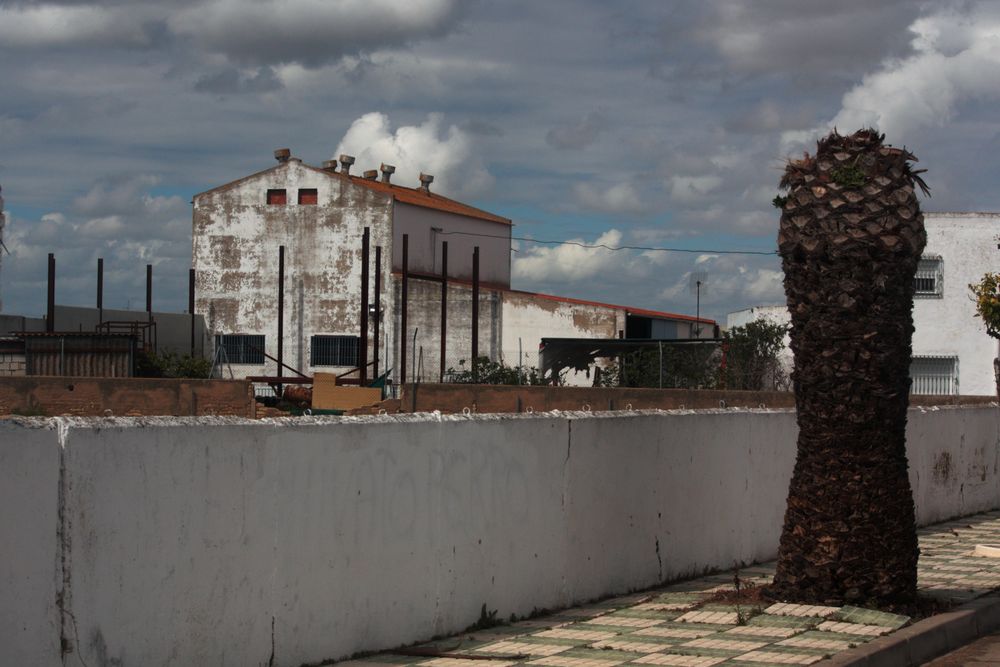 industria agrícola ya casi en la ciudad