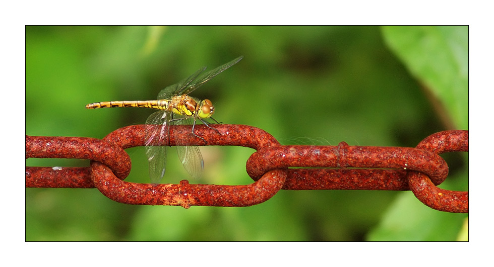 Industrie-Kultur-Natur I