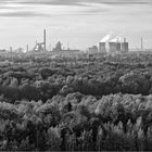 InDUstrie trifft Natur