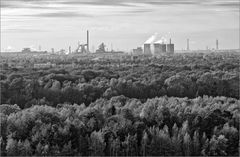 InDUstrie trifft Natur