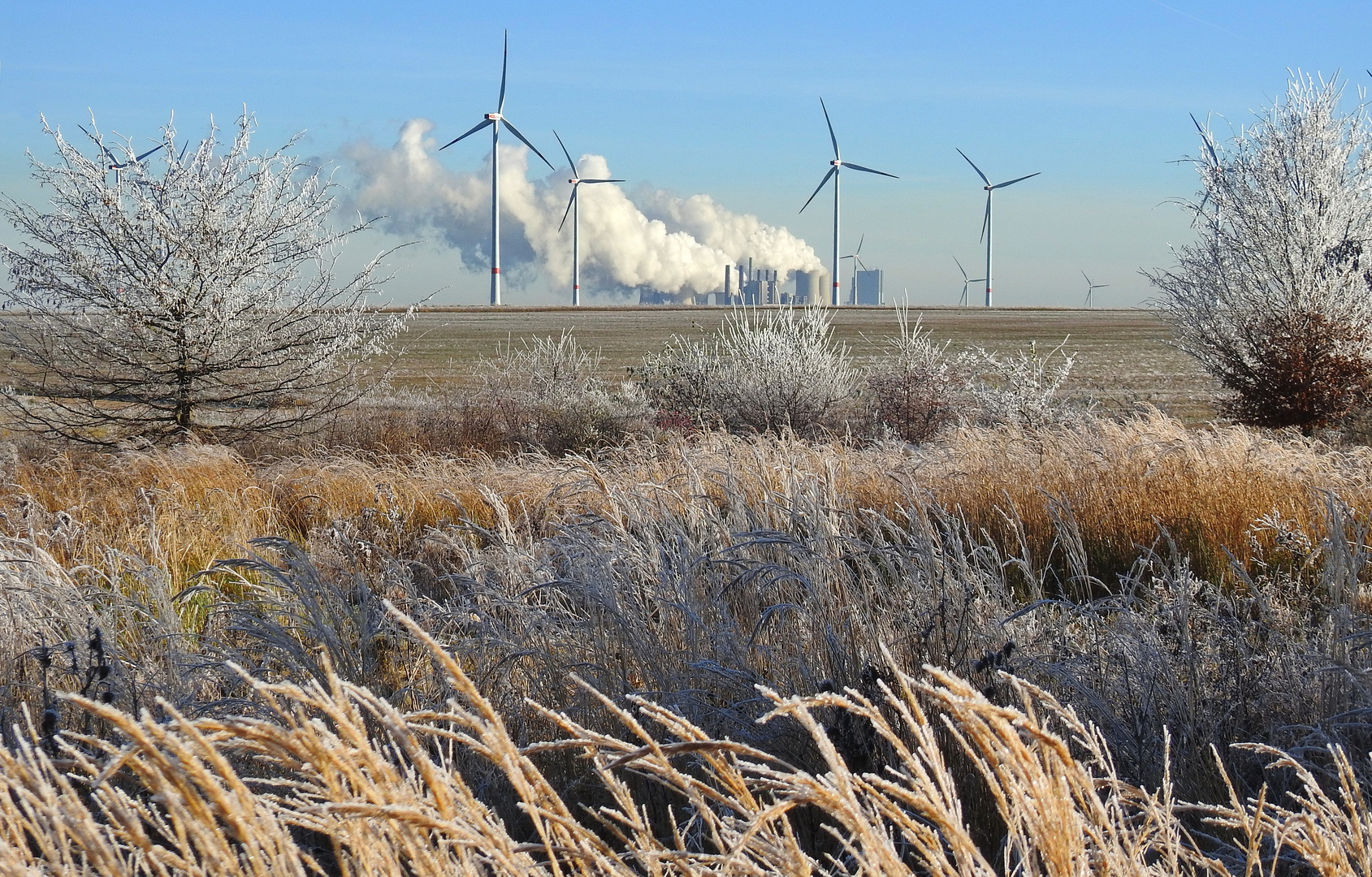 Industrie und Natur