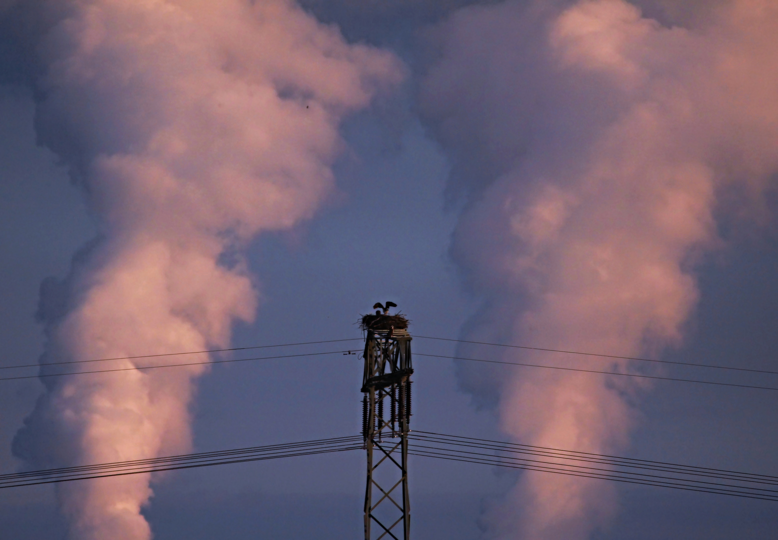 Industrie und Tier (Adlerhorst)