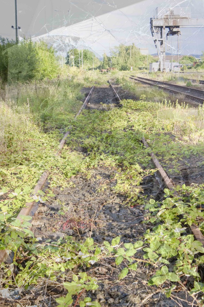 Industrie vs. Natur